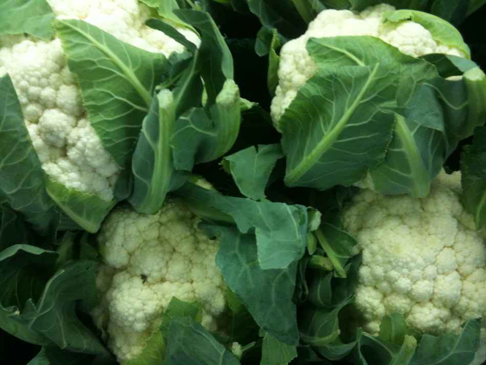 cauliflower